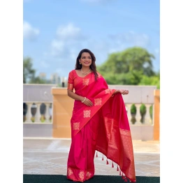 Silk Saree with Zari Weaving & Unique Blouse