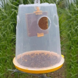 Fruit Fly Trap Container