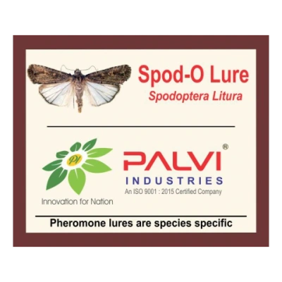 Spodoptera litura