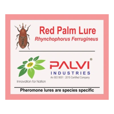 Red palm weevil