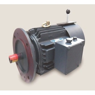 AC & DC MOTORS