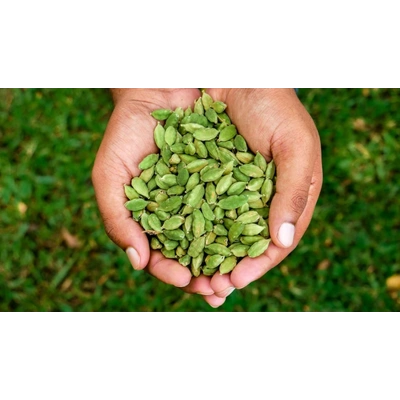 GREEN CARDAMOM 8MM KERALA