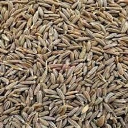 Cumin seeds