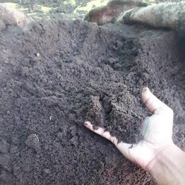 VERMICOMPOST