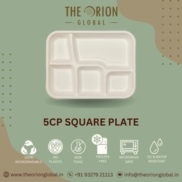 5-COMPARTMENT SQUARE MEAL TRAY