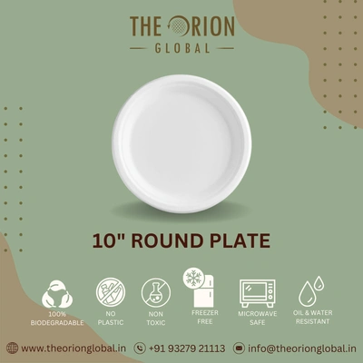 10" ROUND PLATE