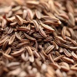 Cumin Seed