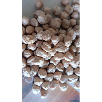 White Chickpeas