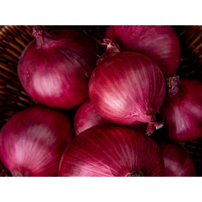 Export Quality Fresh Onions