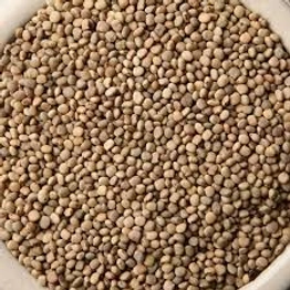 guar gum seeds (cluster beans seeds)