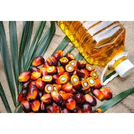 Palm Oil