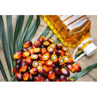 Palm Oil