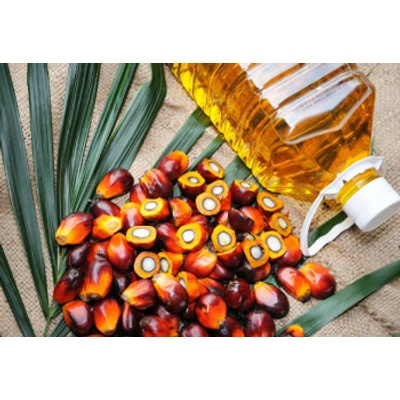 Palm Oil