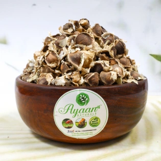 Murungai Dried Vidhai - Drumstick Dried Seeds (முருங்கை உலர்ந்த விதை) Herbal Seeds