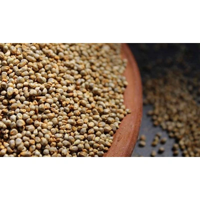 Top Quality Pearl Millet (Bajra)