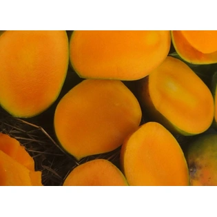 A-1 Quality Gir Kesar Mango