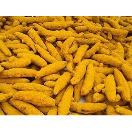 Turmeric Finger - Available for export