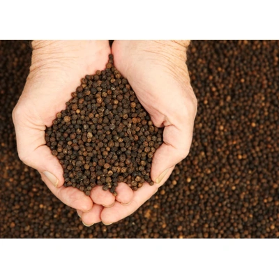 Black Pepper - Available for export