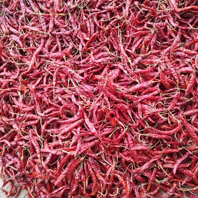 Dry Red Chilli | We export premium quality red chillies