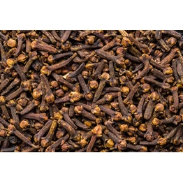 Clove seeds | Available for export