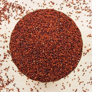 Ragi | Finger Millet | Available for export