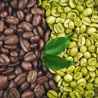 Premium Coffee beans | Export quality