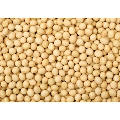 SOYBEANS