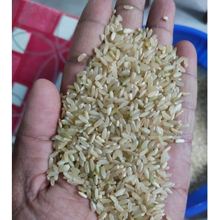 Brown Non Basmati Rice