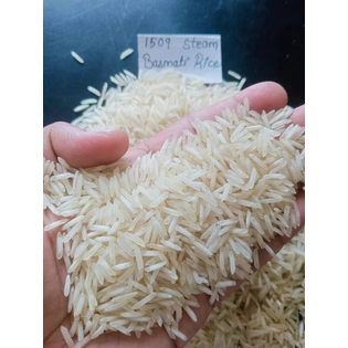 1509 Basmati Rice ( Steam )