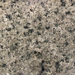 Nosera French Green Granite