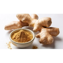 ORGANIC GINGER POWDER