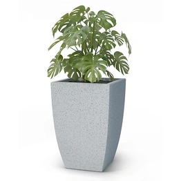 ROTO LARGISH FLOWER POT