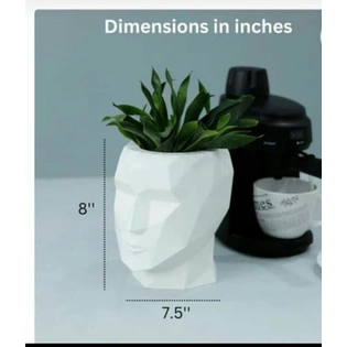 PLASTIC FACE POT 8 INCH