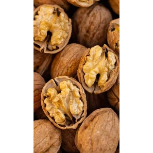 Kashmiri walnuts