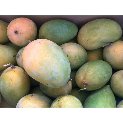 Gir Kesar Mango