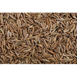 India Cumin Seed