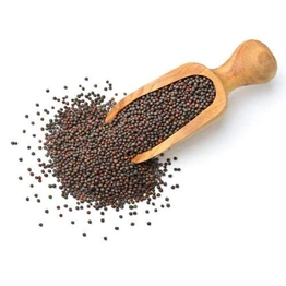 Indiquick Impex Mustard Seeds