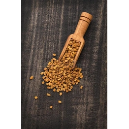 Fenugreek