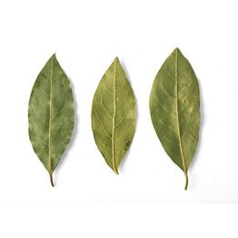 Bay Leaf