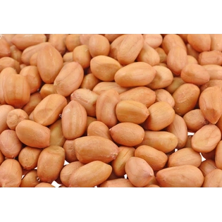 GROUNDNUT