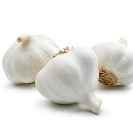 GARLIC