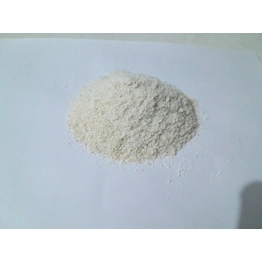 Dehydrated White Onion Powder