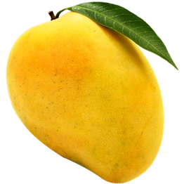 Alphonso Mango Pulp