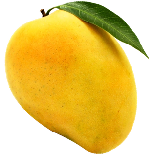 Alphonso Mango Pulp