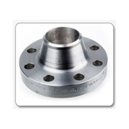 Stainless Steel Weldneck Flanges