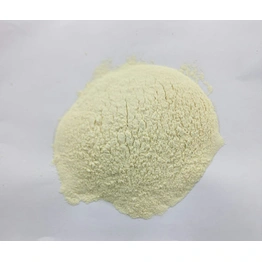 Onion Powder (A- Grade, Export Quality)