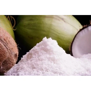 Spray Dried Tender Coconut Powder