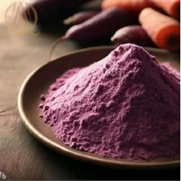 Spray Dried Purple Carrot Powder