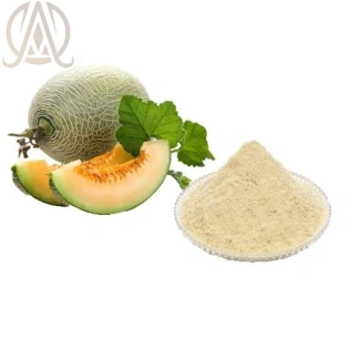 Spray Dried Musk Melon Powder