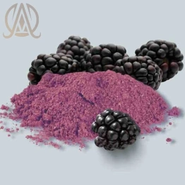 Spray Dried Mulberry Powder